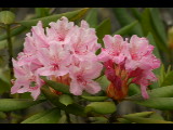 20050430-171947.jpg
