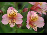 20050430-181837.jpg