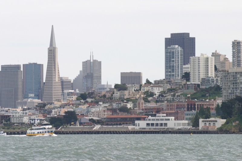 20050501-141217.jpg