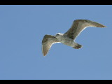 20050501-123708.jpg