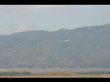 20050529-124506.jpg