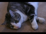 20050603-193905.jpg