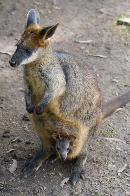 20071128-154613.jpg