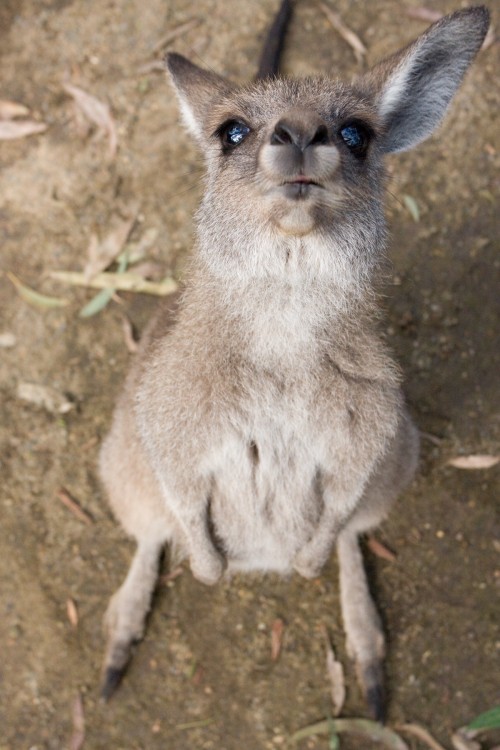 20071128-165752.jpg