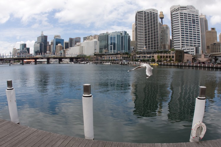 20071126-144627.jpg