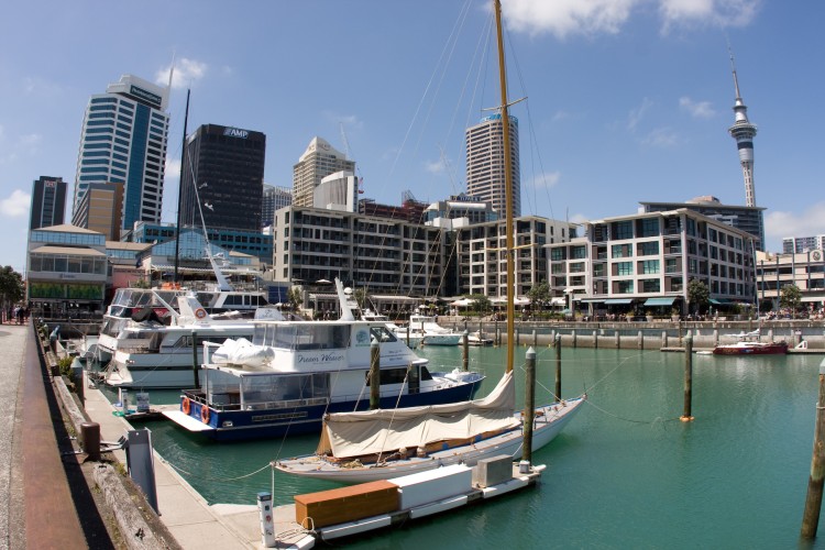 20071125-124418.jpg