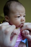 20080517-123743.jpg