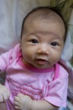 20080517-124411.jpg
