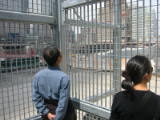 chung-0026.jpg