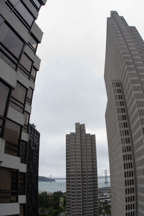 20060729-094514.jpg