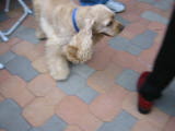 20030621-174836.jpg