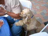 20030621-183102.jpg