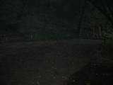 weddingsite-0003.jpg