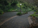 weddingsite-0008.jpg
