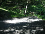 weddingsite-0018.jpg