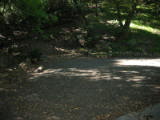 weddingsite-0020.jpg